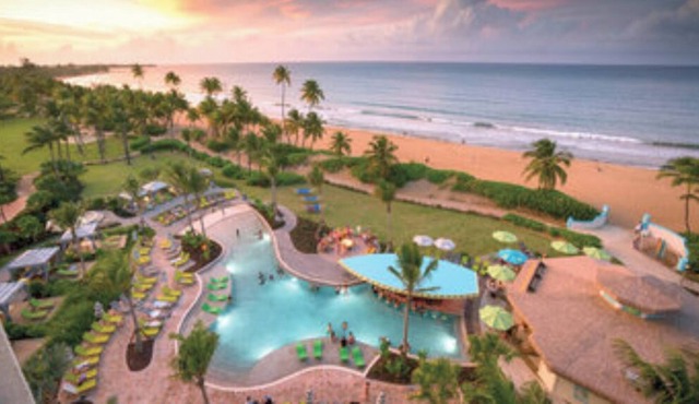 Studio Suite, Ocean View, at Margaritaville Rio Mar Resort, Puerto Rico!