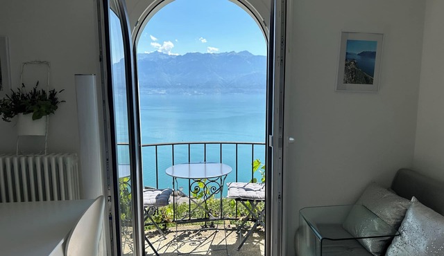 Stunning APT with 360 ° panoramic view of lake Geneva and Alls in the vineyard in Puidoux