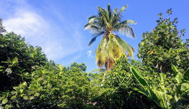 Sunset Den is 10 minutes away from the famous Bob Marley Museum