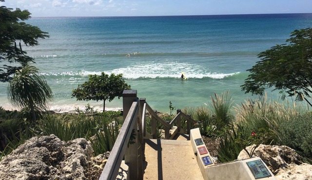 Sweet 2 Bedroom Apt steps away from Ocean and Surfing