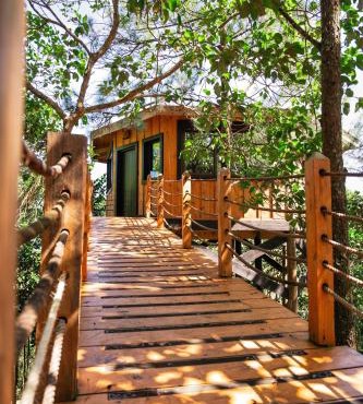 The Grand Forest Jarabacoa