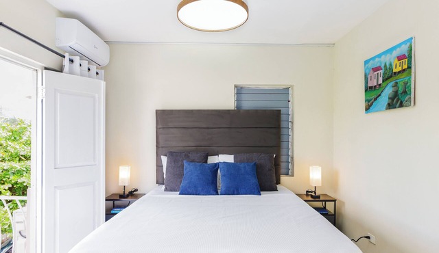The Kingston Vista Suite - Central Cozy 1-Bedroom Apt in Kingston with AC