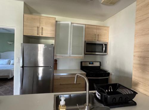 The Palms apt 2