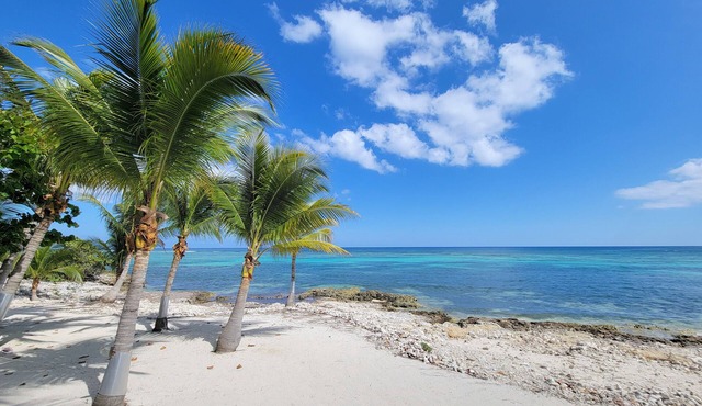 Toes in the Sand Beach Front Condo in Bodden Town
