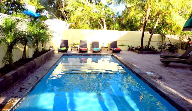 Top Rated Villa in Aruba! NEW POOL! Near Eagle & Palm Beaches- Sleeps 7