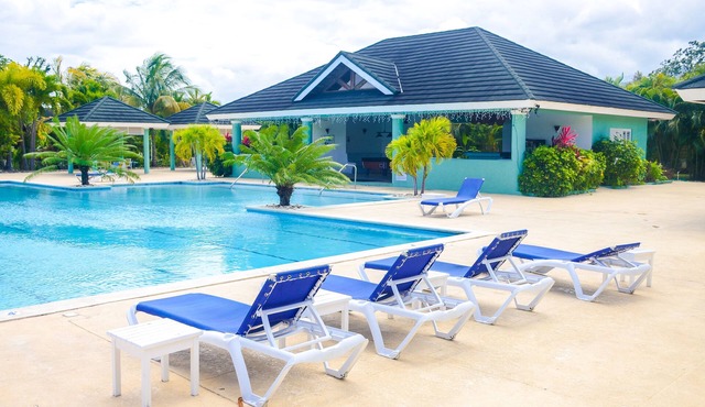Tranquillity at The Palms