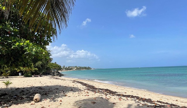Tropical Getaway, Direct Beach Access, 5-Pools