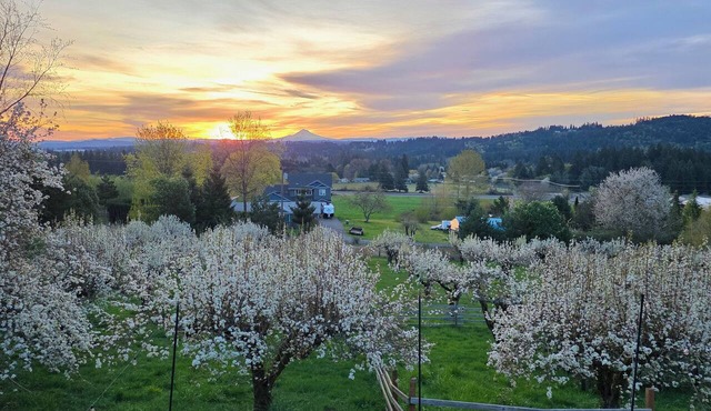 Vista Ridge Retreat 5-Acre Retreat, Stunning Views, Game Room & Fire Pit. in Sherwood