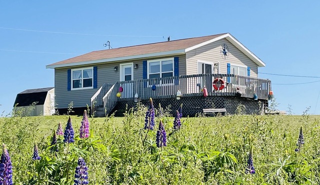 Wavie Waters Cottage! - King bed, Kayaks, Centrally located, stunning views. in Kensington