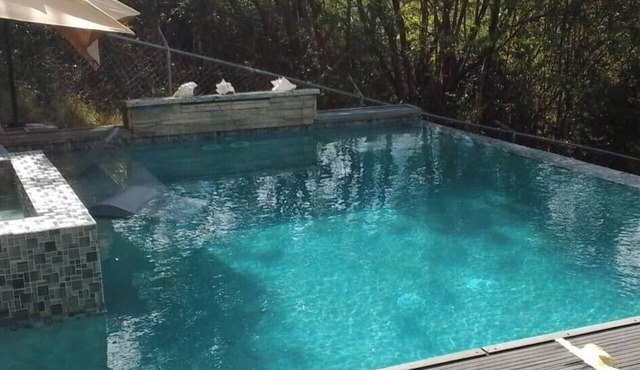 Wayne's Amazing Villa 4