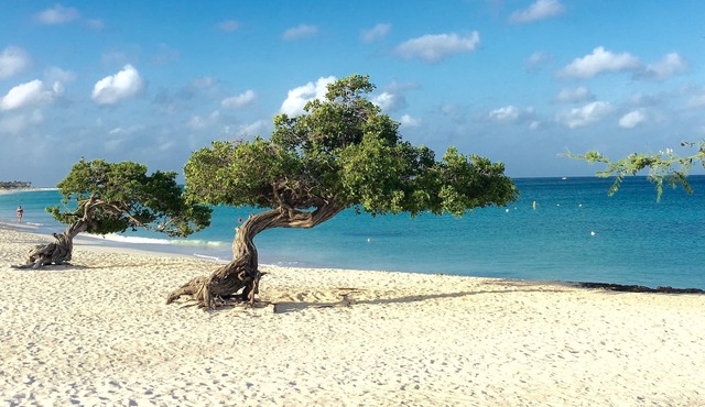 WINTER SPECIAL $ 100 night , 5 ⭐️Walk To Ritz & Marriott hotels & Palm beac