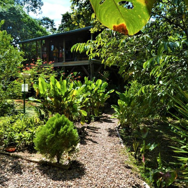 San Ignacio House | Unique Private Tree Top Cottage in Tropical Garden, Near San Ignacio Town