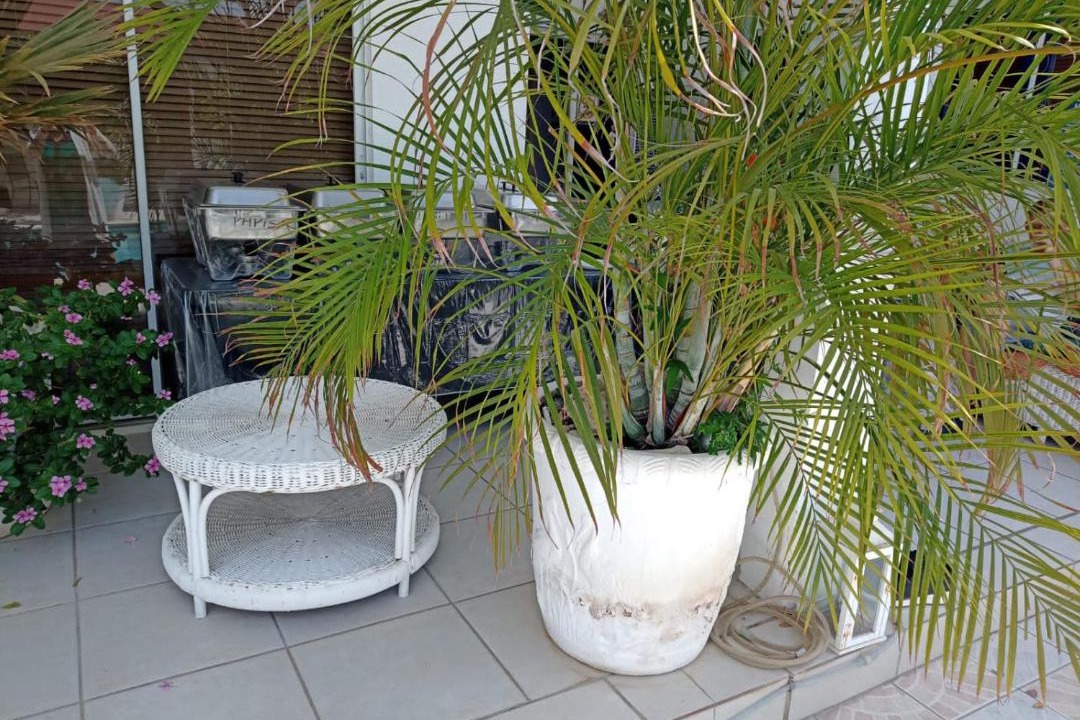 Santa Cruz Apartment | Chez Lilly