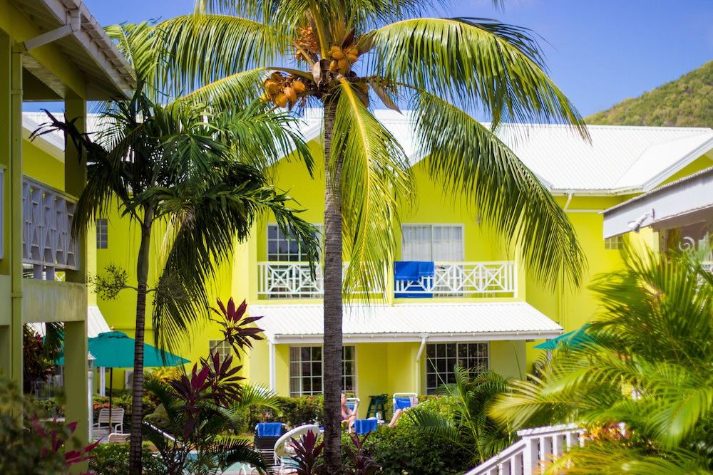 Photo of Buildings in Rodney Bay