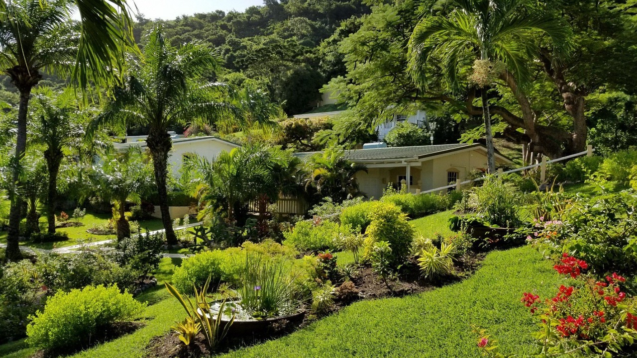 Photo of Others in Morne Rouge