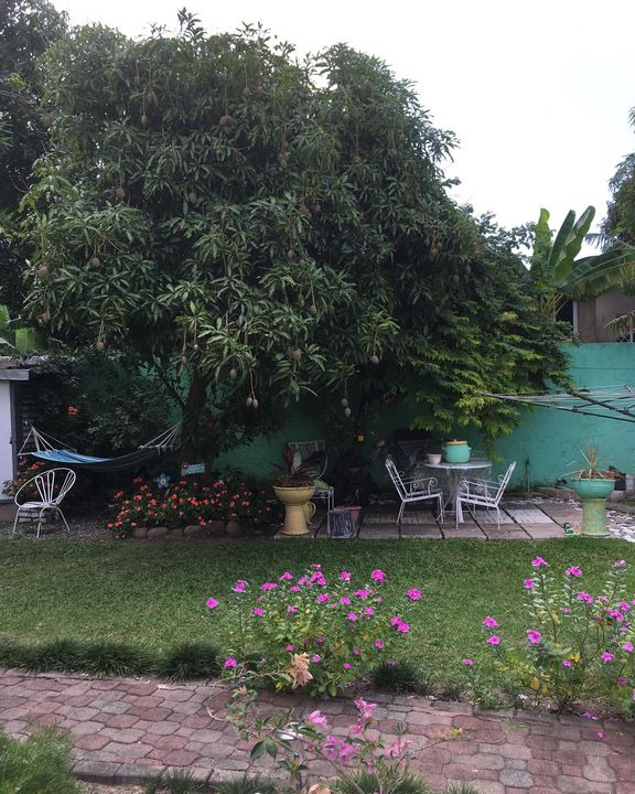 Photo of Others in Havendale