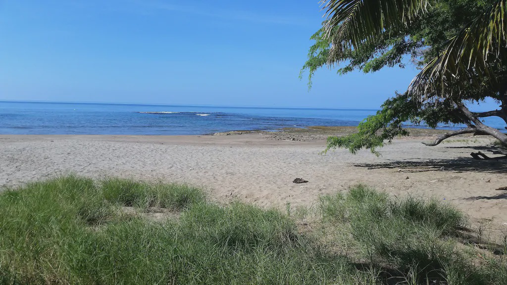 Photo of Others in Treasure Beach