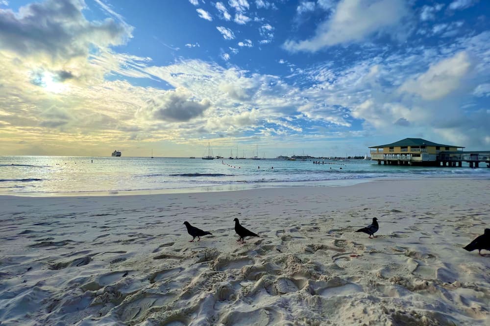 Photo of Others in Bridgetown