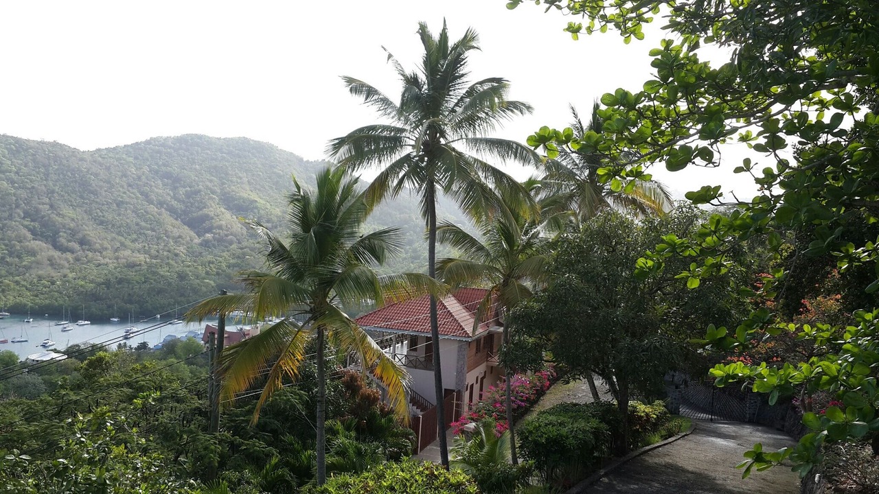 Photo of Others in Marigot Bay