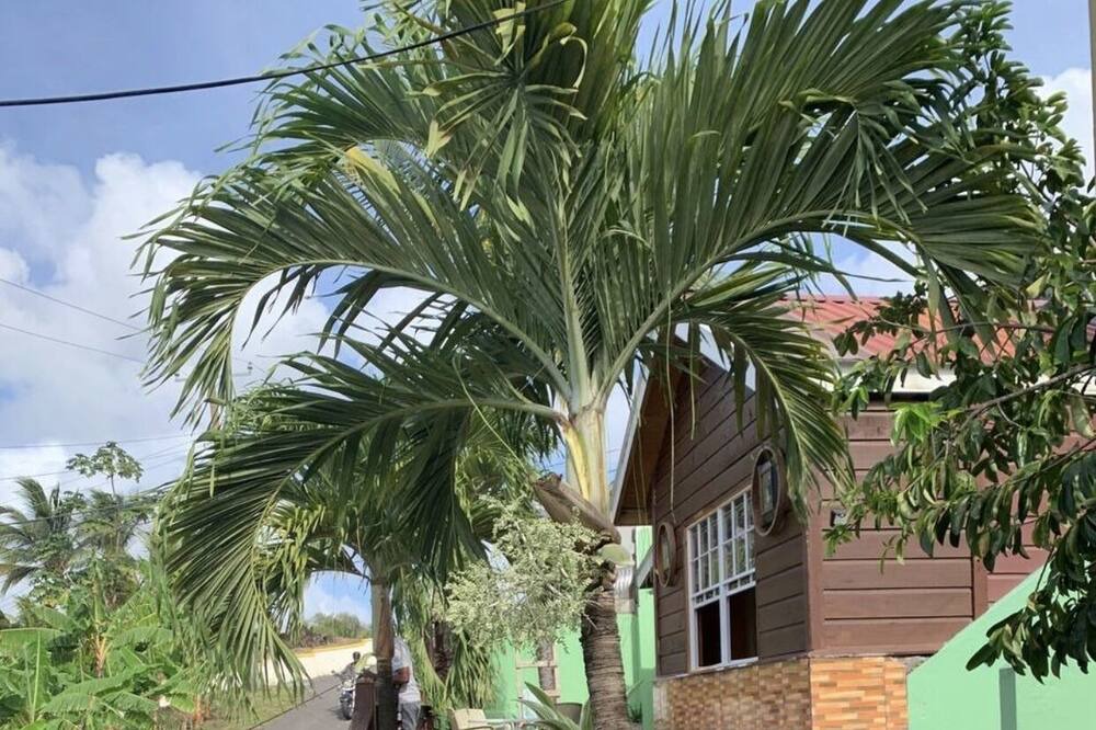 Photo of Patio Balcony in Anse La Raye
