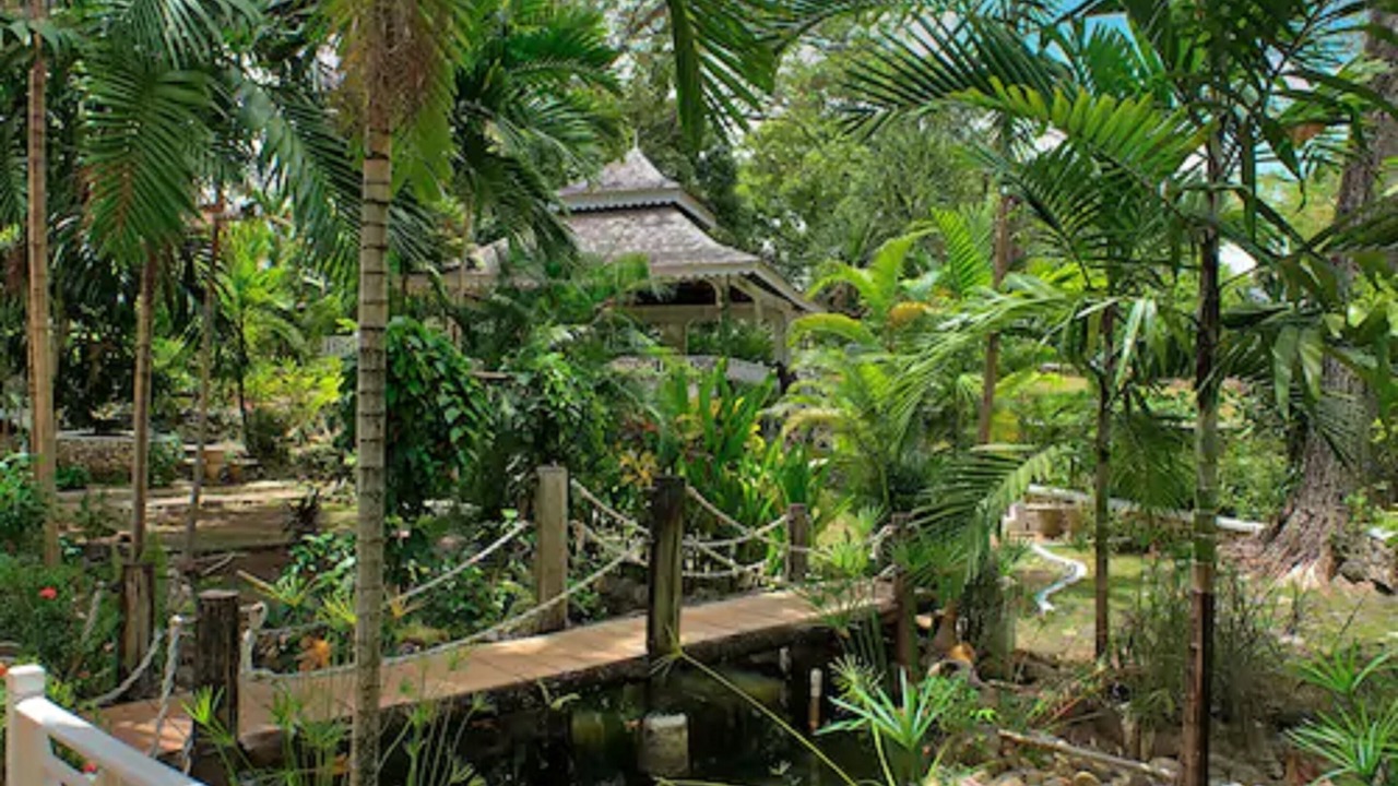 Photo of Outdoor in Ocho Rios