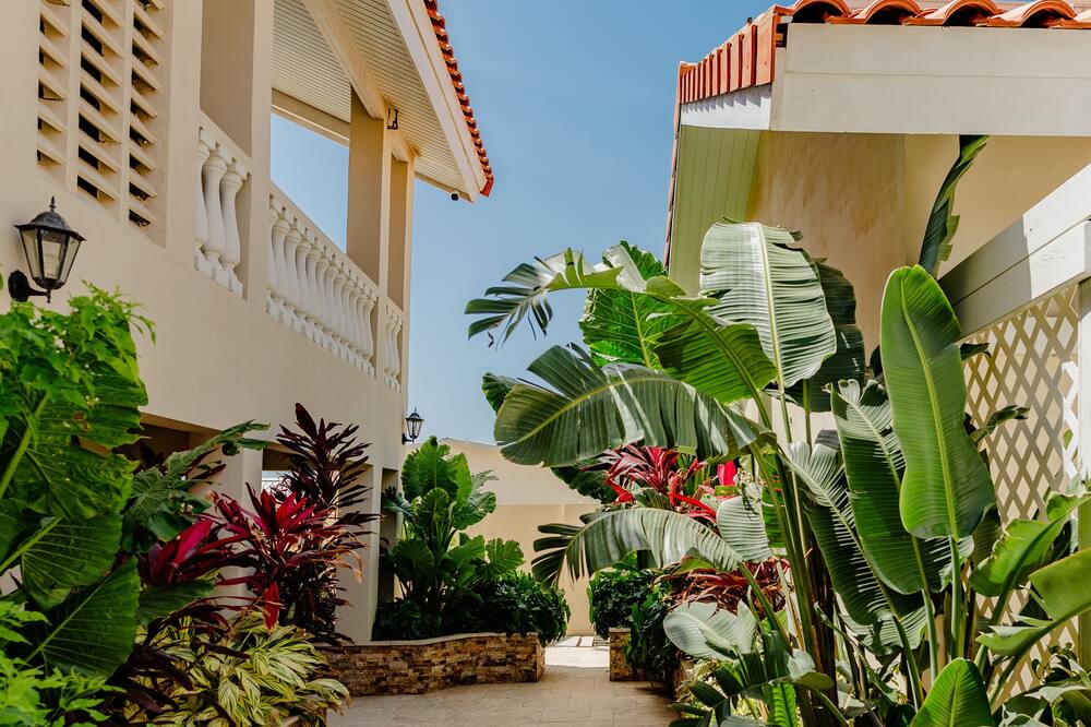 Photo of Outdoor in Bubali