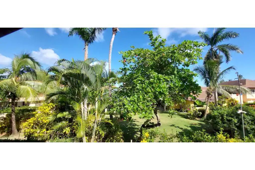 Photo of Outdoor in La Ceiba