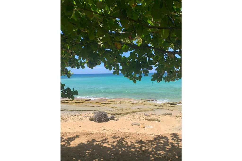 Photo of Others in La Ceiba