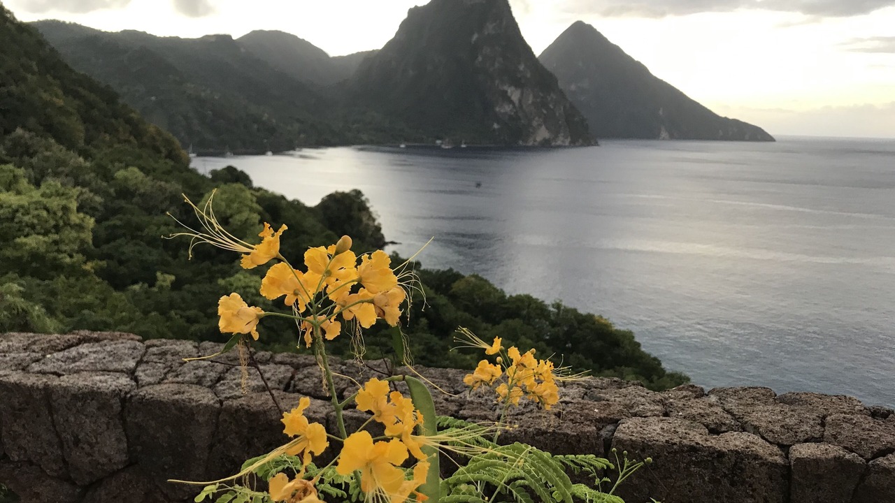 Photo of Bedroom in Soufriere