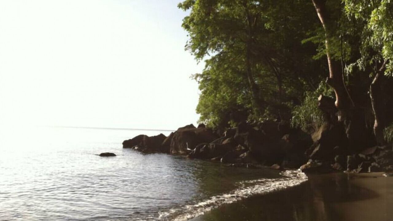 Photo of Others in St. Andrew