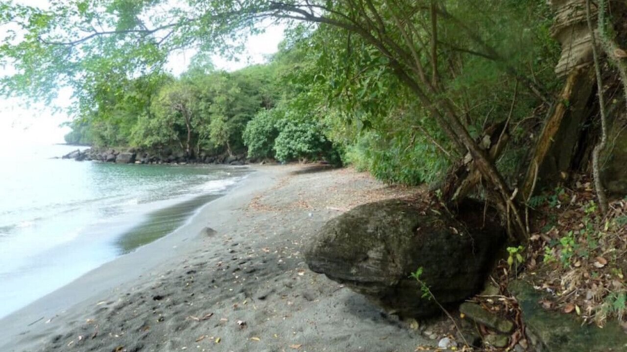 Photo of Others in St. Andrew