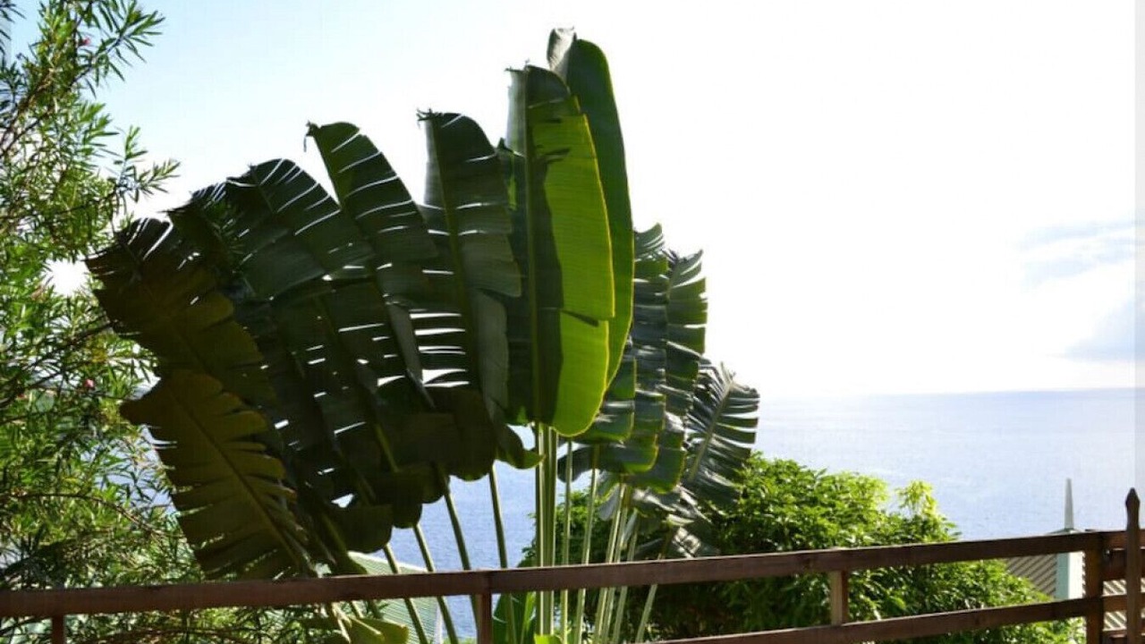 Photo of Outdoor in St. Andrew