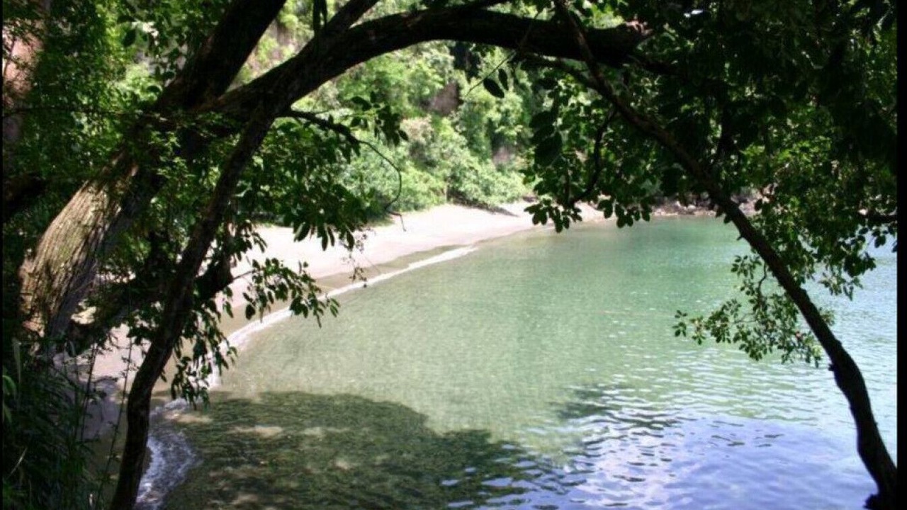 Photo of Others in St. Andrew