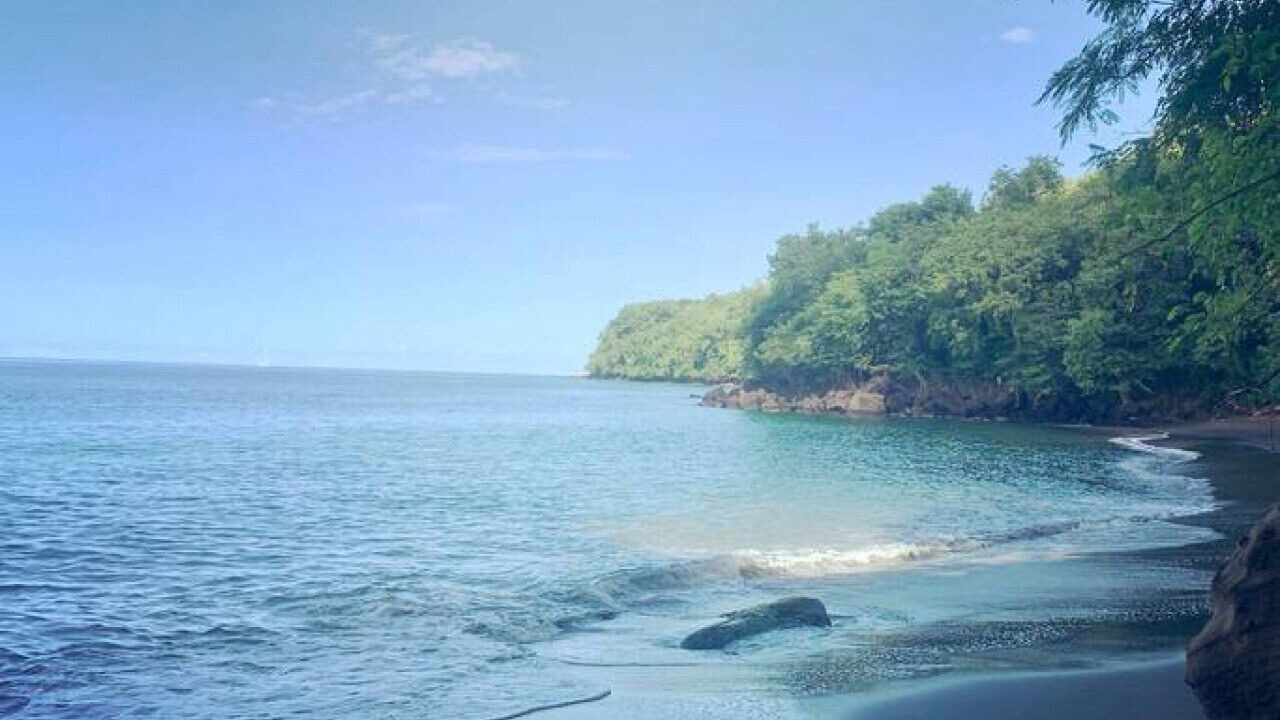 Photo of Others in St. Andrew