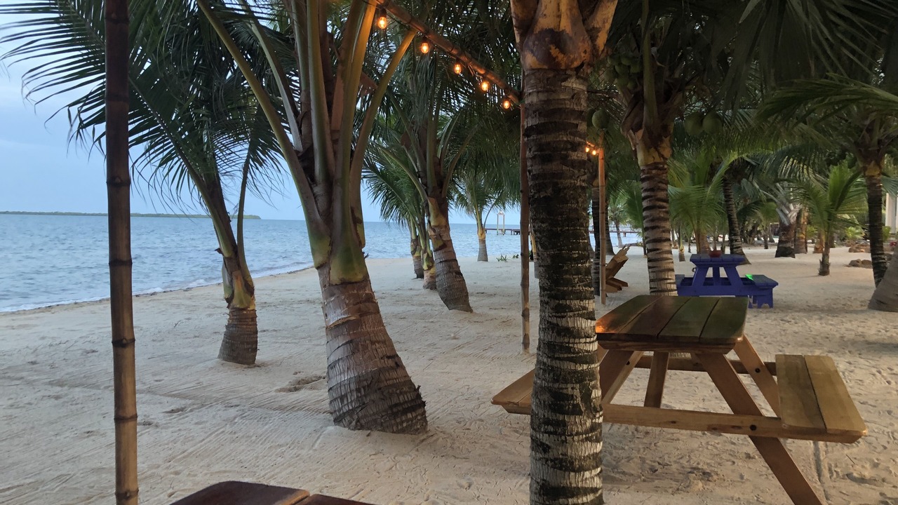 Photo of Others in Seine Bight Village