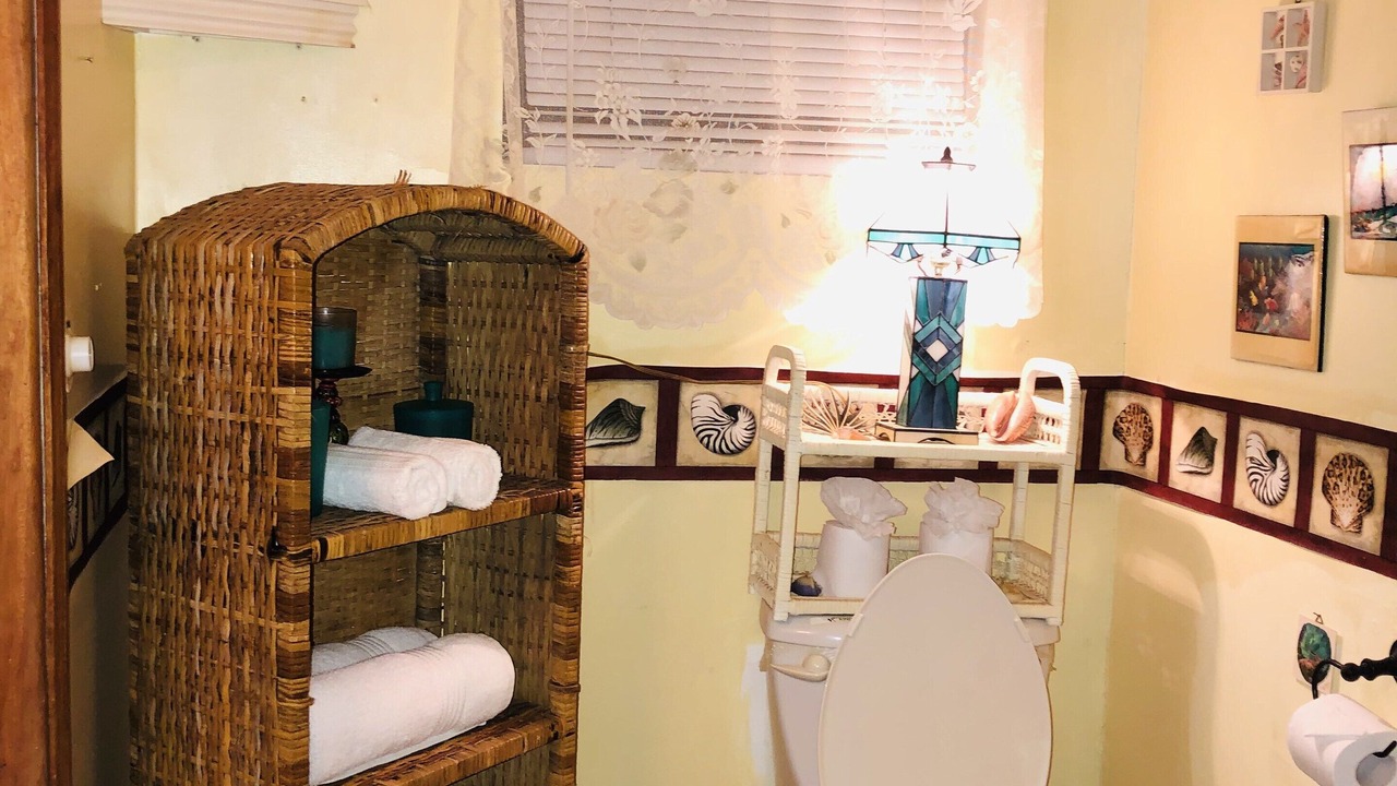 Photo of Bathroom in Placencia