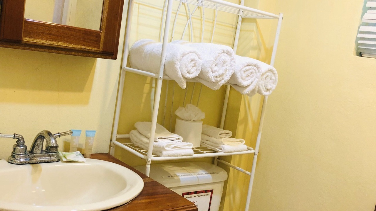 Photo of Bathroom in Placencia