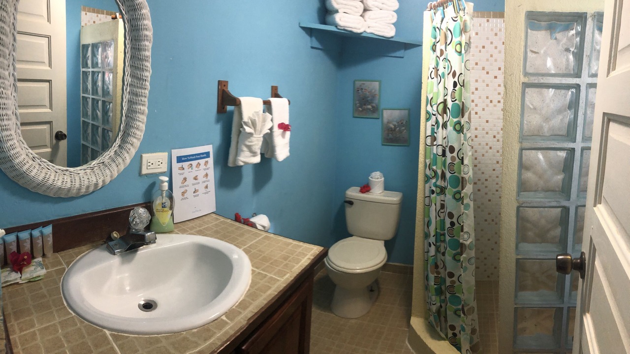Photo of Bathroom in Placencia