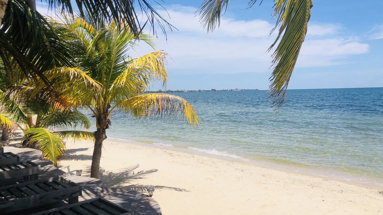 Photo of Outdoor in Placencia