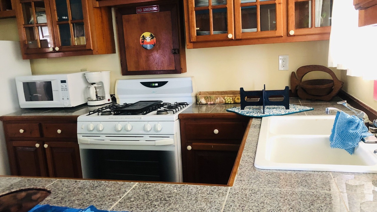 Photo of Kitchen in Placencia