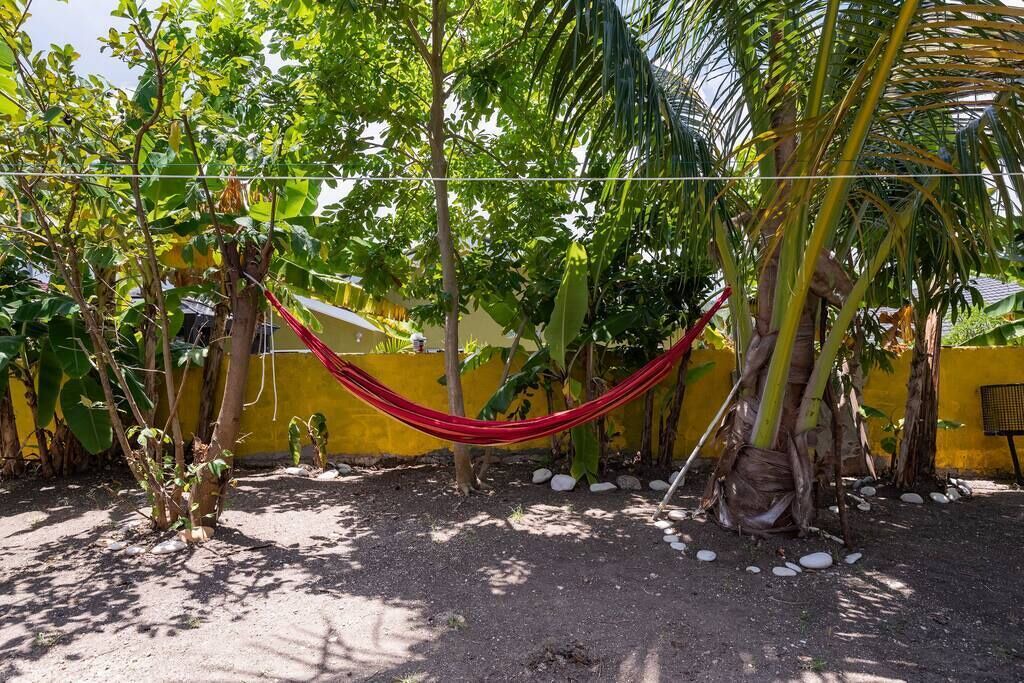 Photo of Outdoor in Mammee Bay