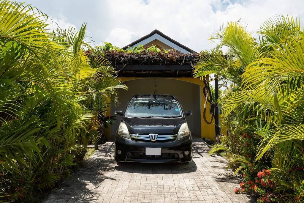 Photo of Outdoor in Mammee Bay