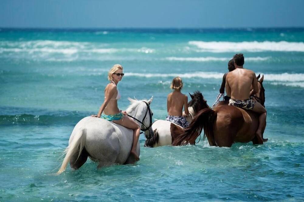 Photo of Others in Montego Bay