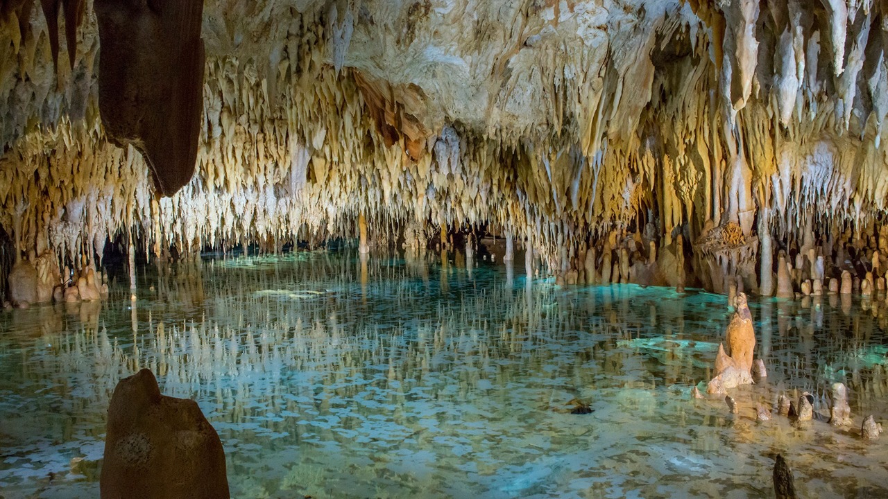 Photo of Others in Seven Mile Beach