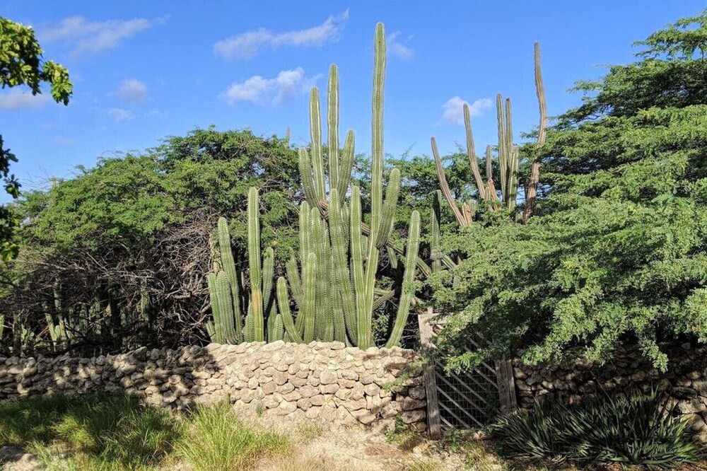 Photo of Outdoor in Boegoeroei