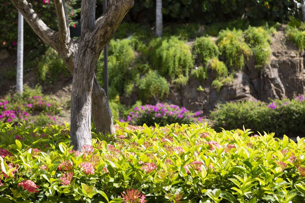 Photo of Outdoor in Cabezas