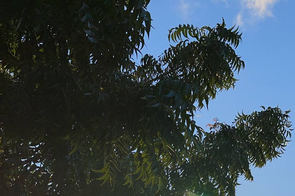 Photo of Outdoor in Punta Rucia
