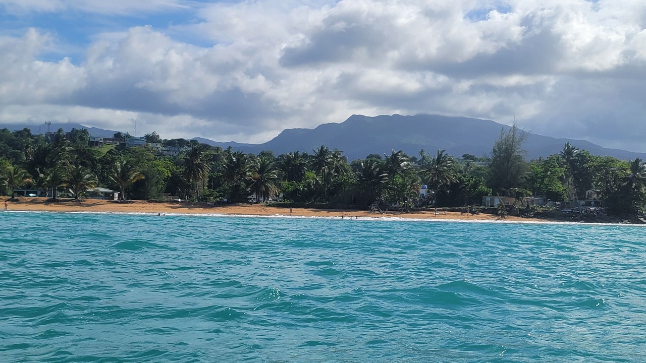 Photo of Others in Playa Fortuna