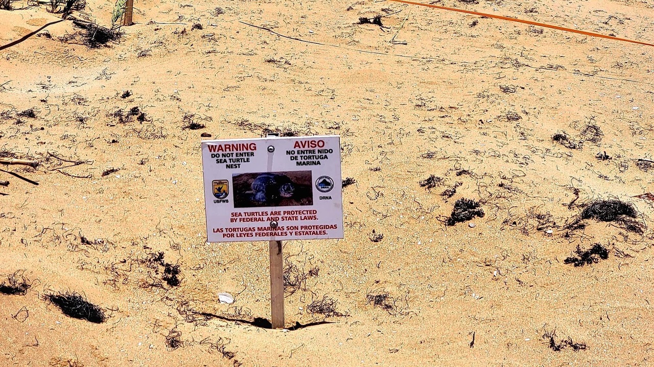 Photo of Outdoor in Playa Fortuna
