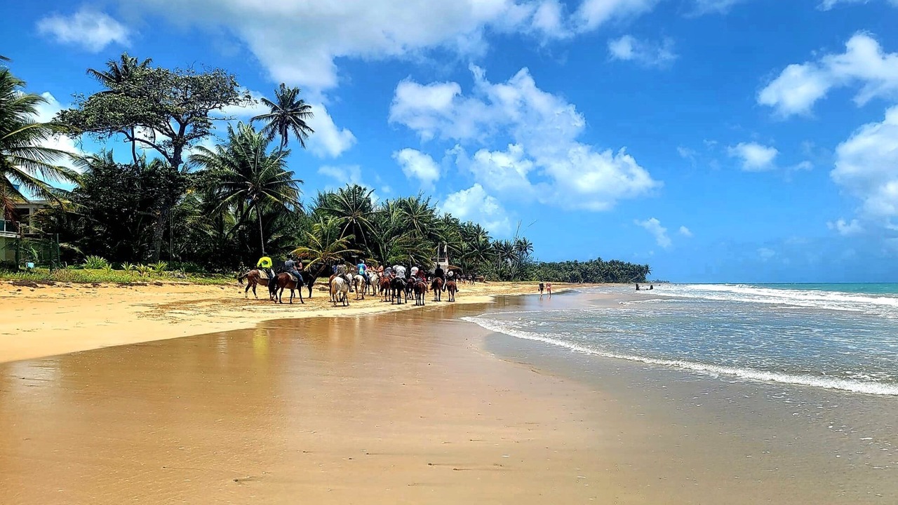 Photo of Others in Playa Fortuna